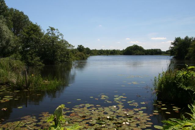 Natuurwandeling met gids door Paviljoen Sassenhein