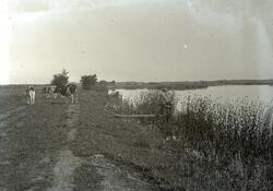 Foto van Paviljoen Sassenhein